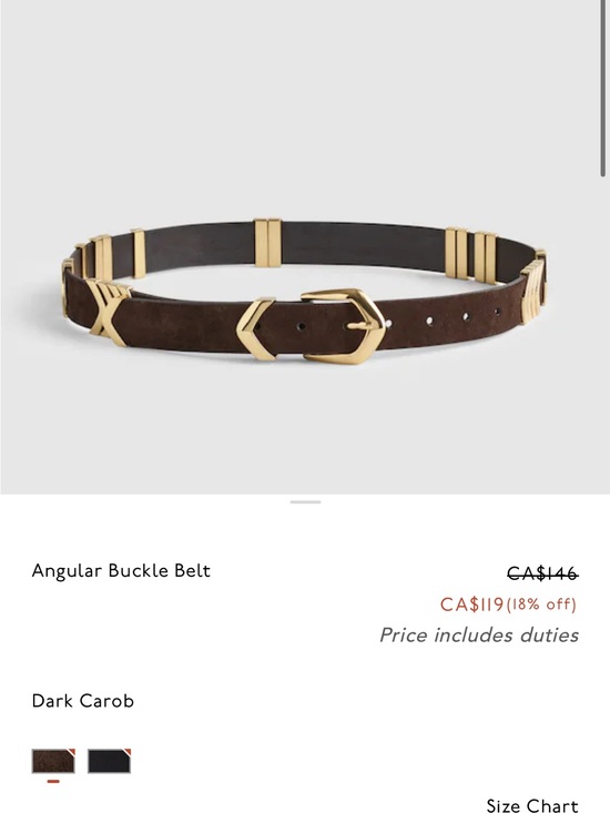 Madewell Accessories - Madewell Belt with Gold Hardware
